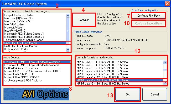 Output Options window